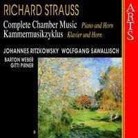 Strauss: Complete Chamber Music, Vol. 3