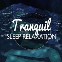 Tranquil Sleep Relaxation