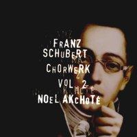 Franz Schubert: Chorwerk, Vol. 2