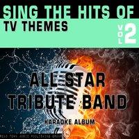 Sing the Hits of TV Themes, Vol. 2