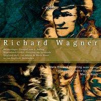 Wagner: Original Works & Adaptations for Chamber Orchestra