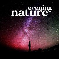 Evening Nature