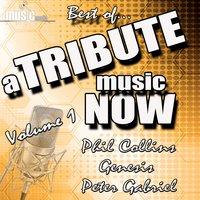 A Tribute Music Now: Best Of... Phil Collins, Genesis and Peter Gabriel, Vol. 1