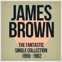 The Fantastic Single Collection 1956-1962