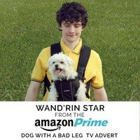 Wand'rin' Star (From The "Amazon Prime - Dog with a Bad Leg" T.V. Advert)