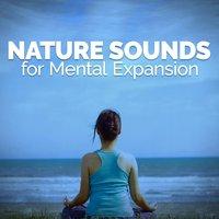 Natural Sounds for Mental Expansion