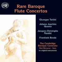 Rare Baroque Flute Concertos on Original Instruments