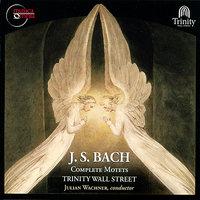 Bach: Complete Motets, BWV 225-230, BWV 118