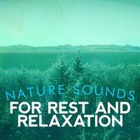 Nature Sounds for Rest and Relaxation