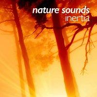 Nature Sounds: Inertia
