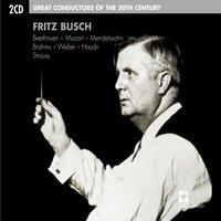 Fritz Busch: Great Conductors of the 20th Century