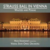 Strauss Ball in Vienna: Waltzes and Polkas