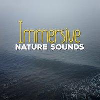 Immersive Nature Sounds