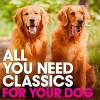 All You Need Classics: For Your Dog