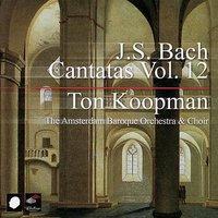 J.S. Bach: Cantatas Vol. 12