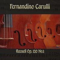 Fernandino Carulli: Recueil, Op. 120, No.1