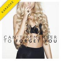Can't Remember to Forget You  - Single