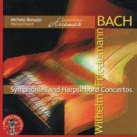 Concerto for harpsichord and strings, In E Minor, FK 43: Adagio