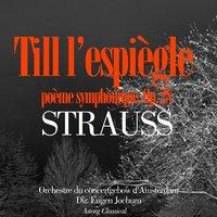 Strauss : Till l'espiègle - Don Juan