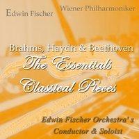 Brahms, Haydn & Beethoven: The Essentials Classical Pieces