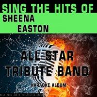Sing the Hits of Sheena Easton
