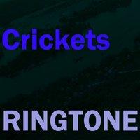 Crickets Ringtone