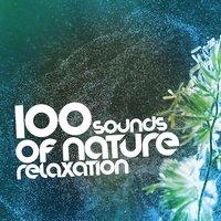 100 Sounds of Nature Relaxation