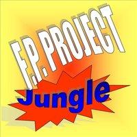 F. P. Project