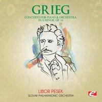 Grieg: Concerto for Piano and Orchestra in A Minor, Op. 16