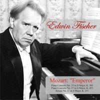"Emperor" Piano Concerto No. 25 in D Major, K. 503: I. Allegro maestoso