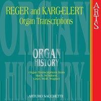 Organ History - Reger and Karg-Elert Transcriptions