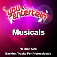 Musicals - Professional Backing Tracks Vol.1