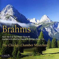 Brahms: Trio & Quintet