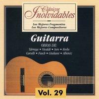 Clásicos Inolvidables Vol. 29, Guitarra