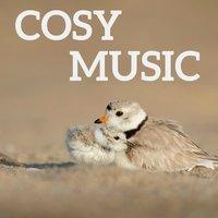 Cosy Music