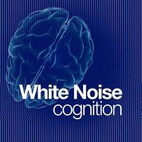 White Noise: Cognition