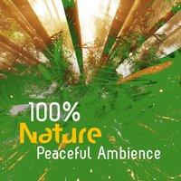 100% Nature: Peaceful Ambience