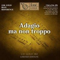 L'estro armonico, Concerto per violino e archi in A Minor, Op. 3 No. 6, RV 365: II. Largo