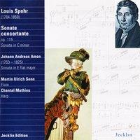Sonate concertante for Flute and Harp in G Major, Op. 115: I. Allegro