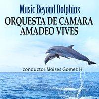 Music Beyond Dolphins