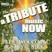 A Tribute Music Now: Fleetwood Mac and Stevie Nicks - The Ultimate Collection