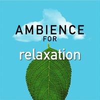 Ambience for Relaxation
