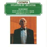 Schubert: Piano Sonatas Nos. 13 & 14