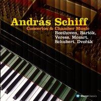 Schubert: Piano Trio No. 2 in E-Flat Major, Op. 100, D. 929: II. Andante con moto
