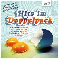 Hits im Doppelpack, Vol. 7