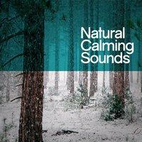 Natural Calming Sounds