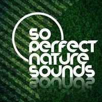 50 Perfect Nature Sounds