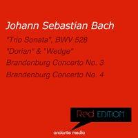 Red Edition - Bach: "Trio Sonata" & Brandenburg Concerti Nos. 3 & 4