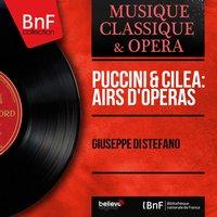 Puccini & Cilea:  Airs d'opéras