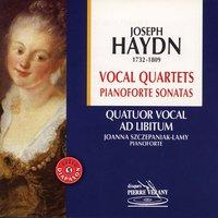 Haydn : Vocal quartets pianoforte sonatas